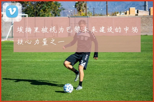 埃梅里被视为巴黎未来建设的中场核心力量之一