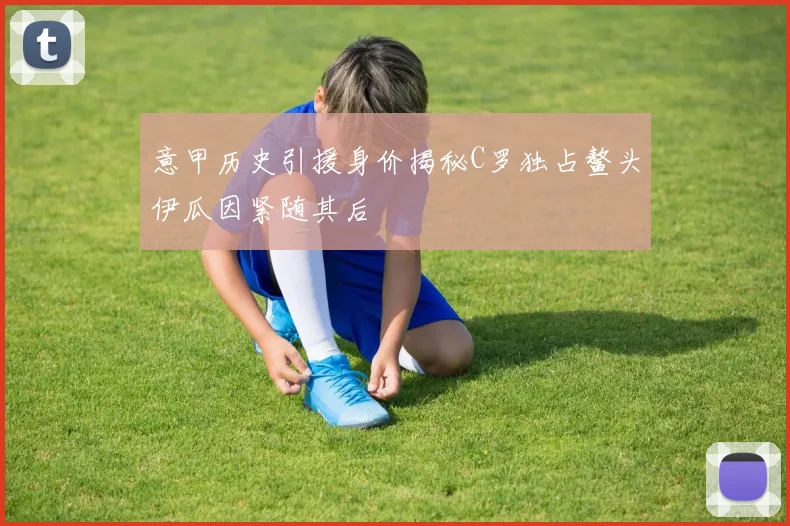 意甲历史引援身价揭秘C罗独占鳌头伊瓜因紧随其后